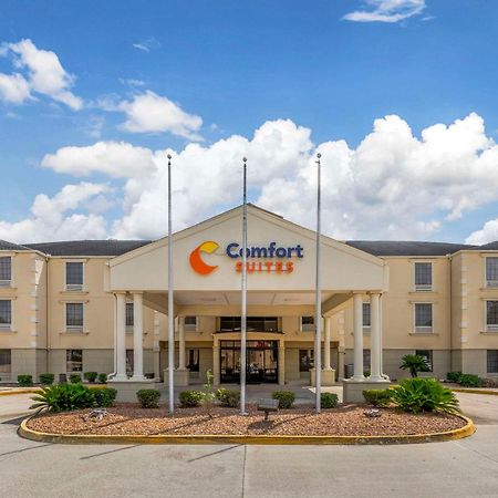 Comfort Suites Port Allen - Baton Rouge Eksteriør billede